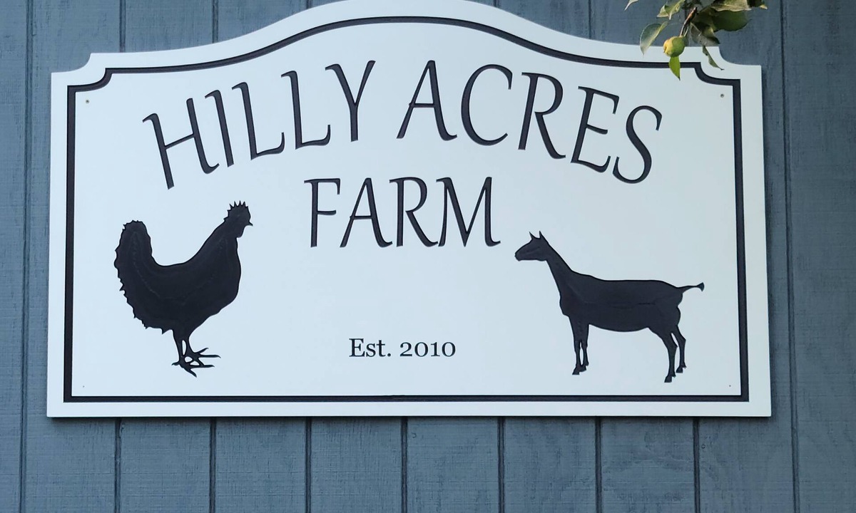 Bristol Apartment | 1B/1B Apt. on Hobby Farm 🐔 🐐 in Bristol. 5 minutes from Newfound Lake