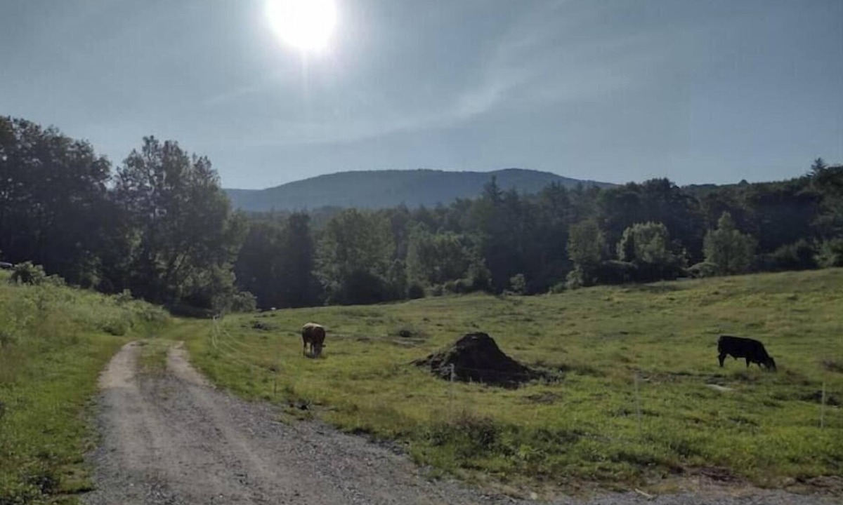 Wallingford Apartment | 2 BR pets ok, amazing view, swimming hole, fantastic view of Green Mountains