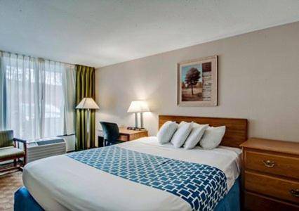 Beckley Hotel | 26 m² Hotel ∙ 4 guests