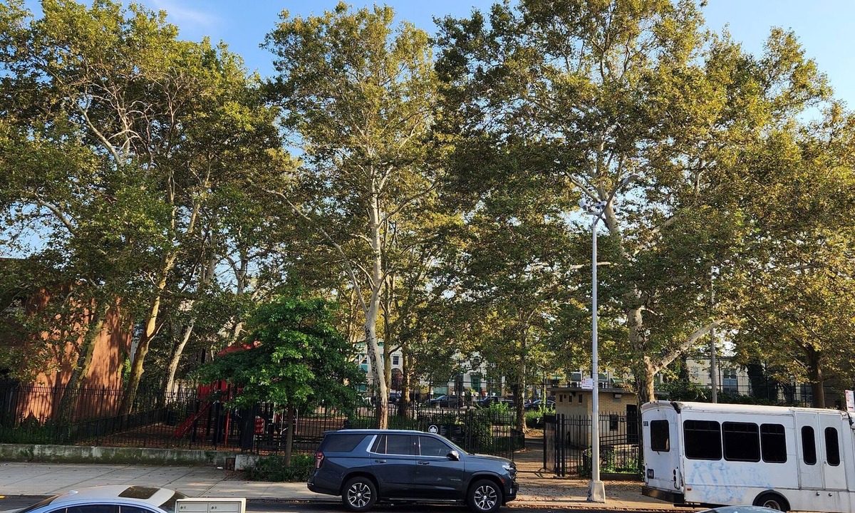 Bedford-Stuyvesant House | 2BD 1.5BA in Bedstuy, 55in tv coupled with a king and queen sized beds!