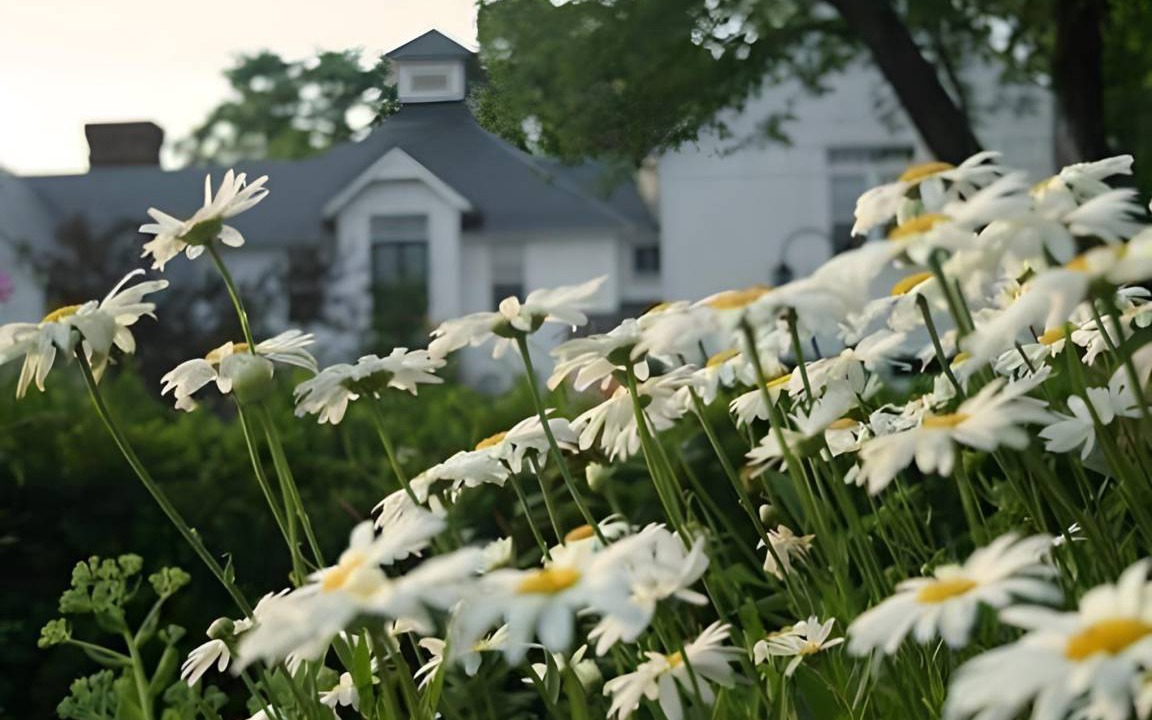 Middlebury Bed & Breakfast | 33 m² Bed and breakfast ∙ 3 guests
