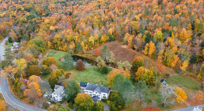 Williamsville Bed & Breakfast | 56 m² Bed and breakfast ∙ 2 guests