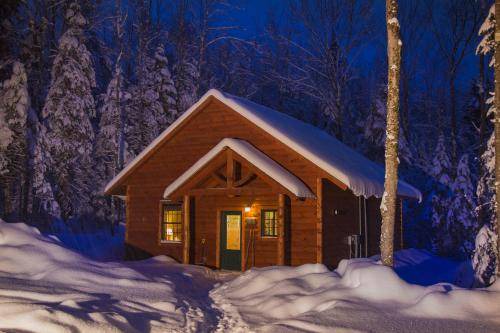 Ripton Cabin | 60 m² Lodge ∙ 2 bedrooms ∙ 7 guests