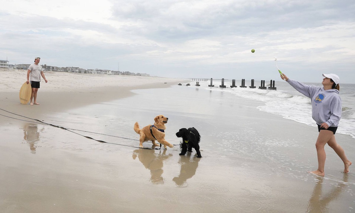 North Cape May House | Cape May short walk to the Bay Dogs Welcome!