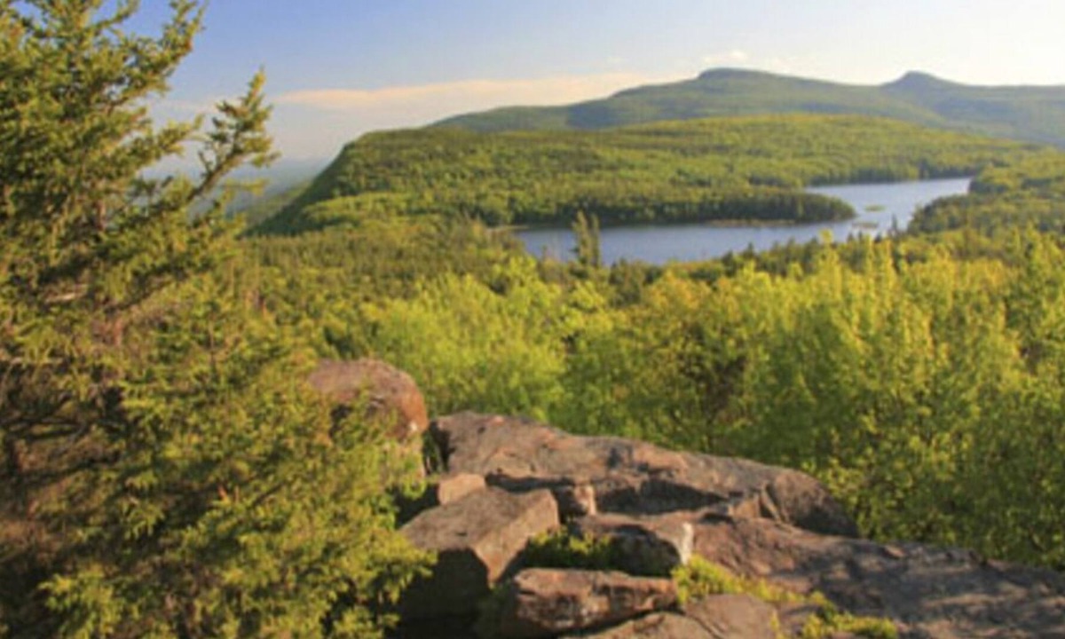 Ferndale Cottage | Charming Lake-House in the heart of the Catskills