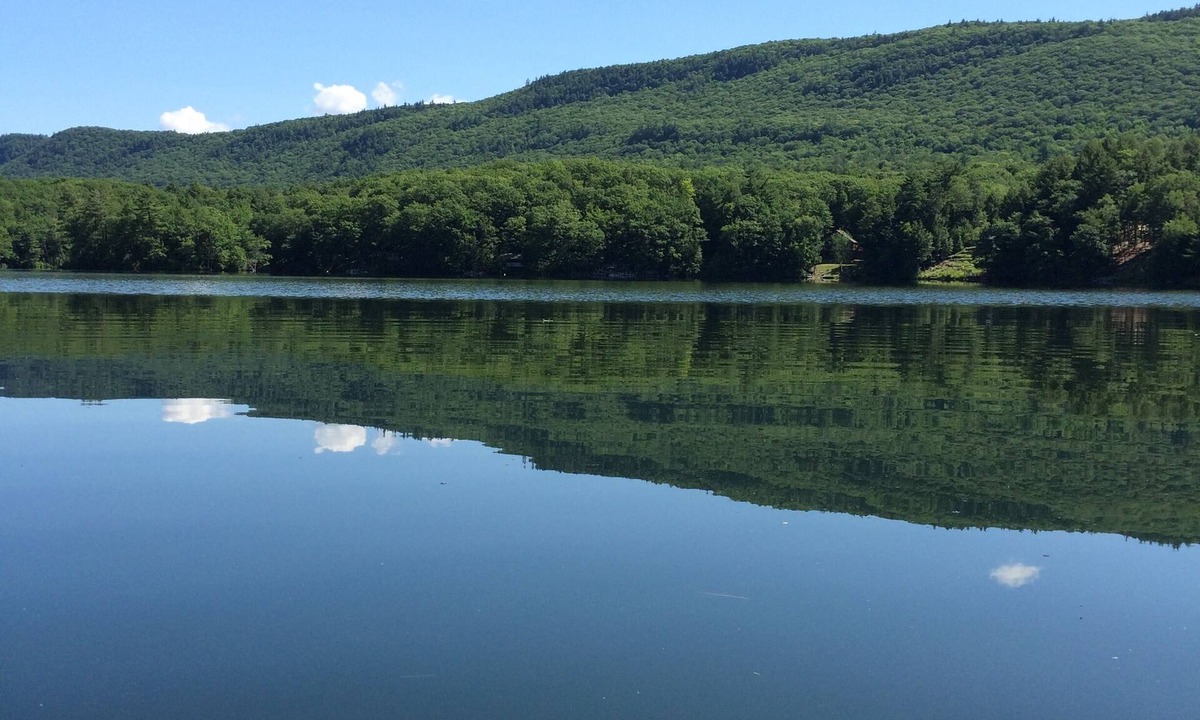 Forest Dale Cottage | Comfortable Family Friendly Cottage On Beautiful Fern Lake