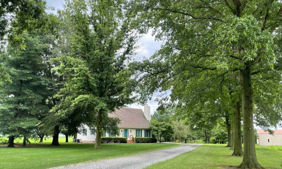 Golts House | Countryside Cottage in Sassafras