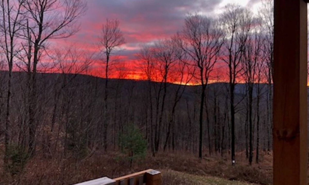 Bovina Center Cabin | Cozy cabin in the woods on top of the ridge. A quiet retreat.