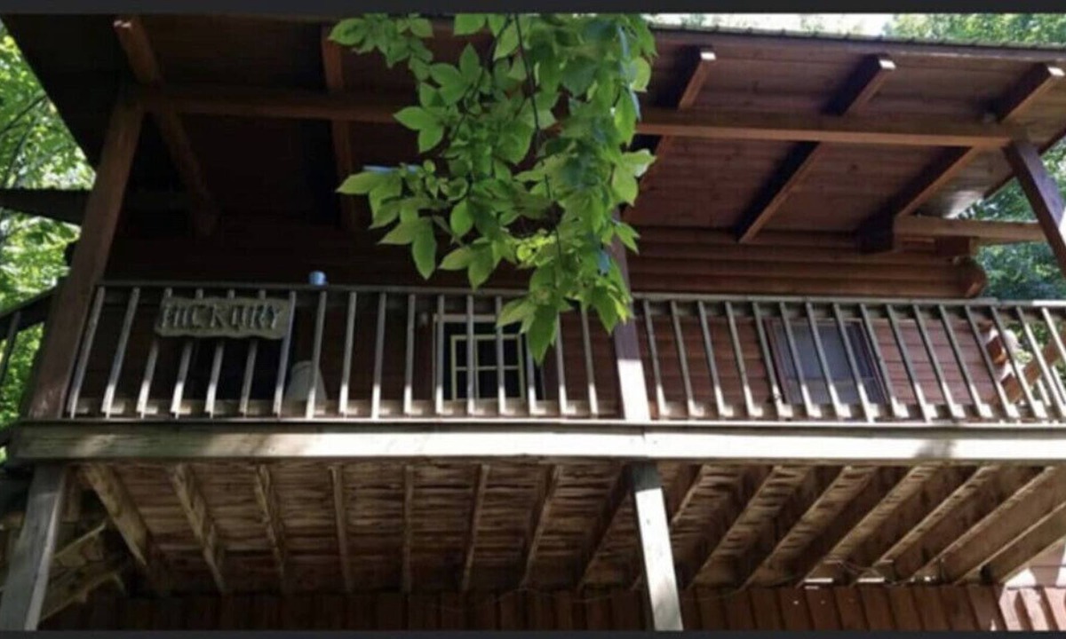 Slaty Fork Cabin | Hickory Cabin at Snowshoe! *Private Hot tub*