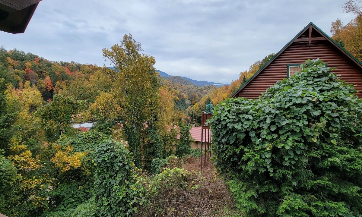 Gatlinburg Cabin | Luxury Log Cabin, Mountain & City Views