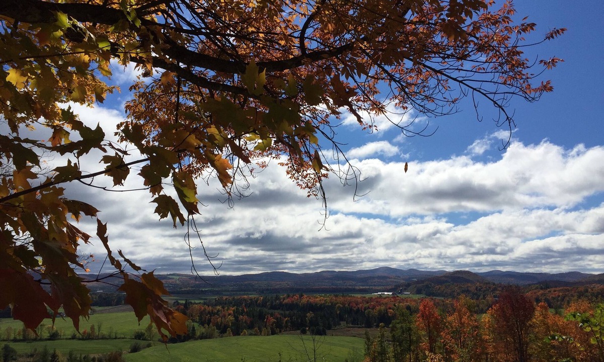 Irasburg Apartment | Mountain views - peaceful small ranch on 5 acres
