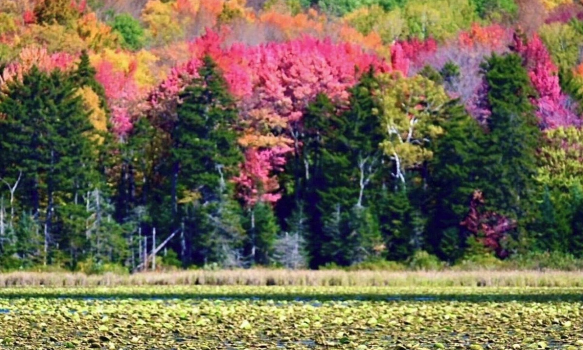 Mount Holly House | MT Holly Ski/lake house hideaway(Avail. Daily, weekends & seasonally Dec-April)