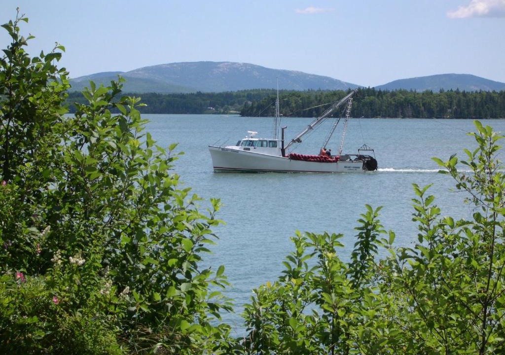 Trenton Resort | Narrows Too Camping Resort Cabin 6