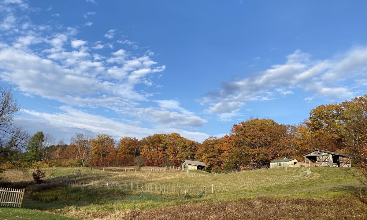 Norwich House | Resort on a Farm