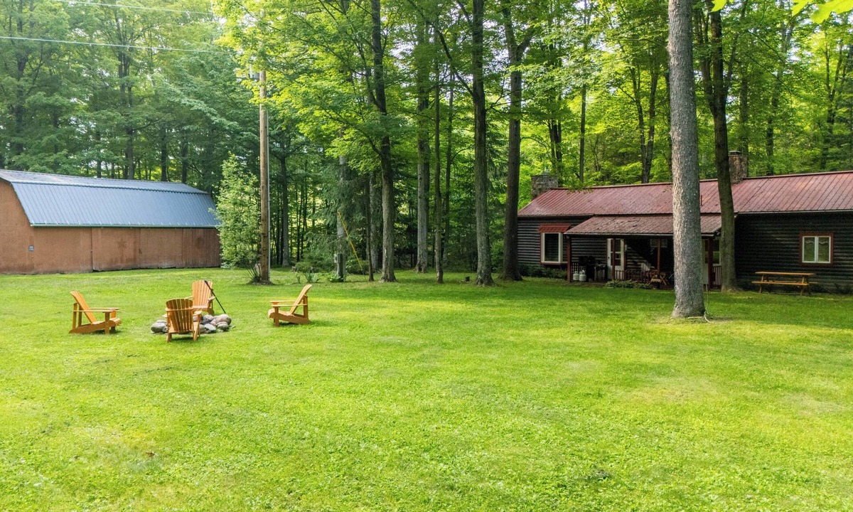 Avoca Cabin | Secluded cabin on creek-Hiking, Fire Pit, Large Yard, Pet Friendly!