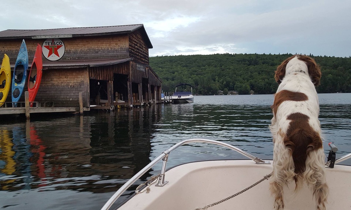 Holderness House | Squam Lake Waterfront home. You can't get any closer to the water!