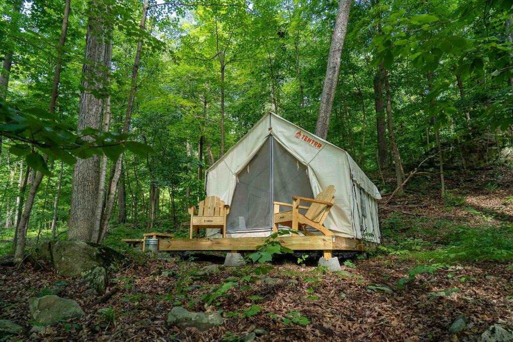 Tentrr State Park Site Mills | Staatsburg
