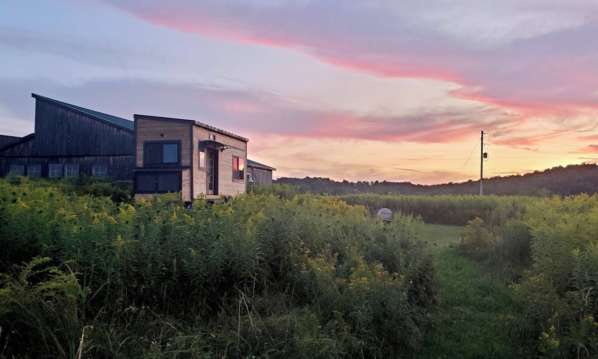 Hartwick Cabin | Tiny House in a peaceful meadow near Cooperstown