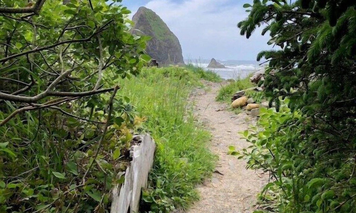 Arch Cape House | Tranquil Arch Cape Escape - Walk to the Beach!