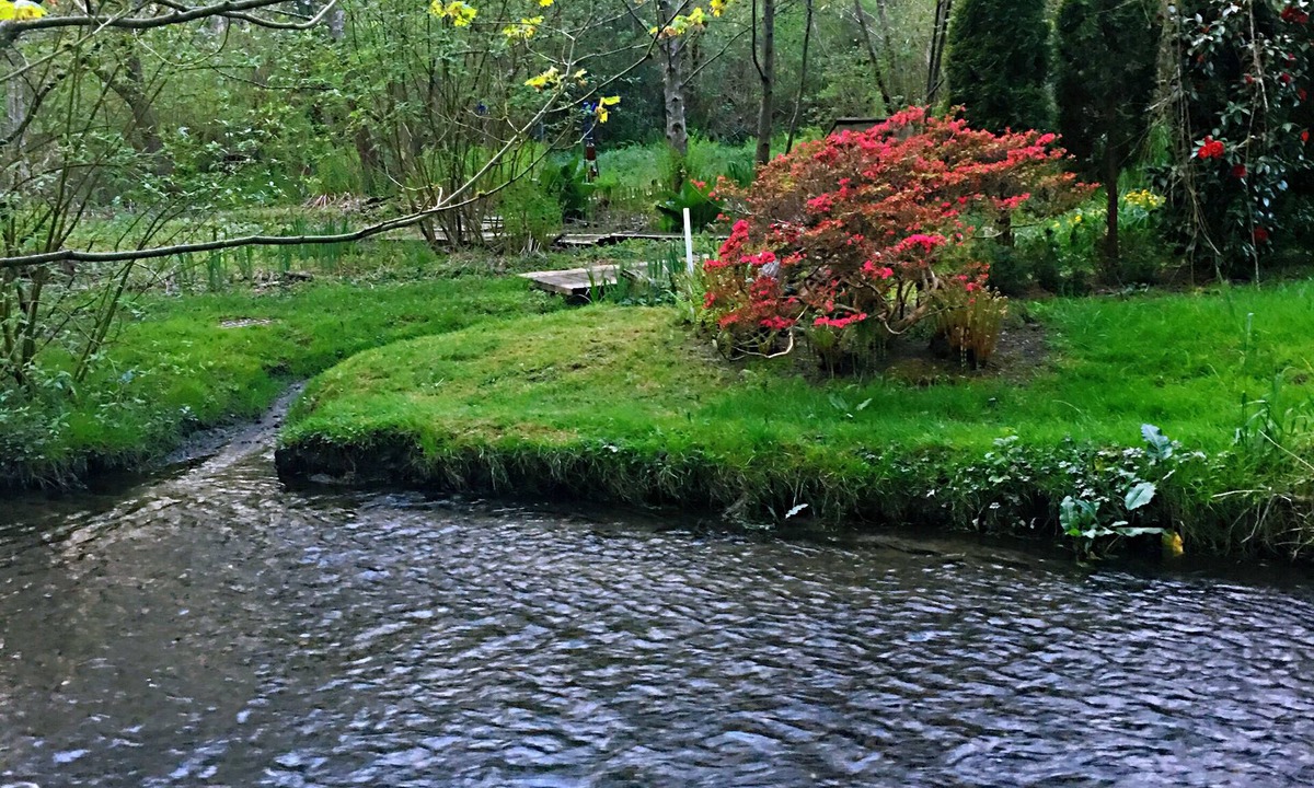 Lake Forest Park House | Tranquil Waterside Retreat: Newly Remodeled, AC, Creek Serenade