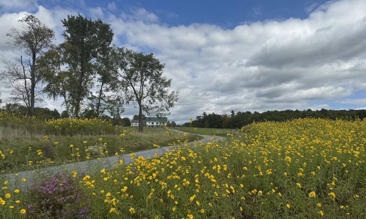 New Haven Apartment | Vermont Modern Farmhouse + 46 acres + spectacular