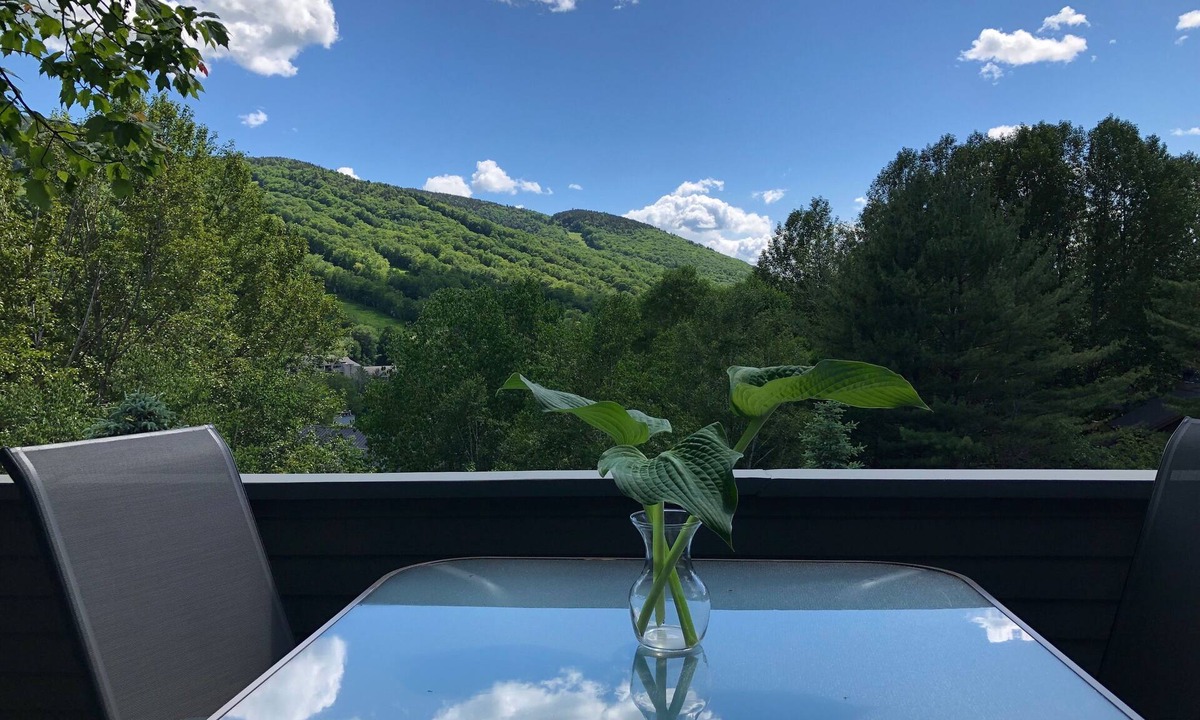 Lincoln House | Village of Loon Townhouse AC Pool Internet Panoramic Views No Entry Level Steps