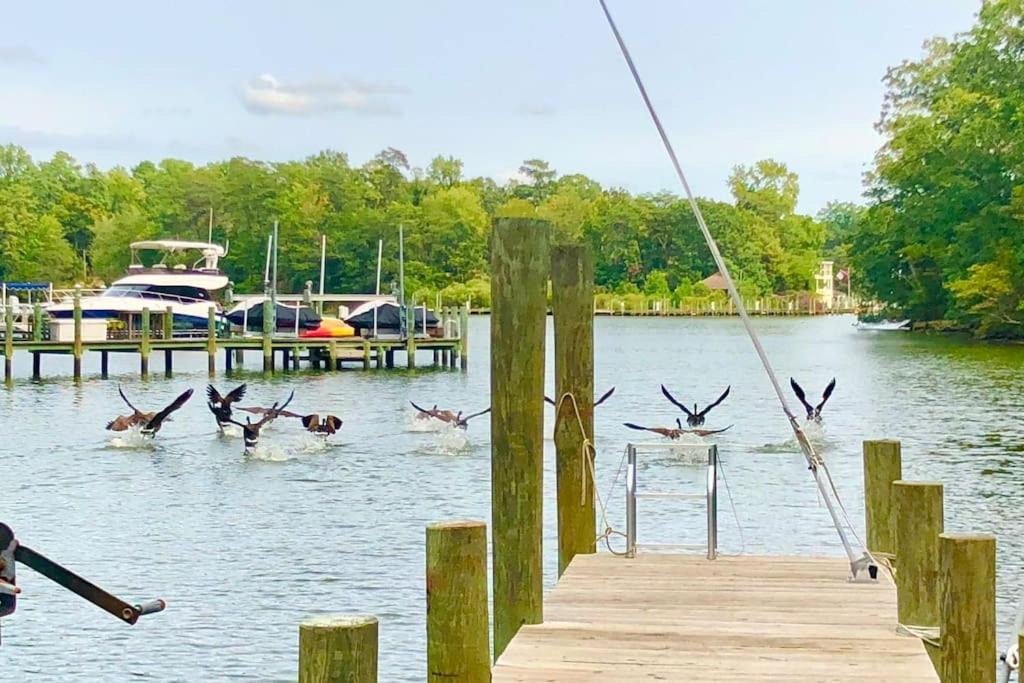 Weems House | Waterfront Home With Boat Dock & Study