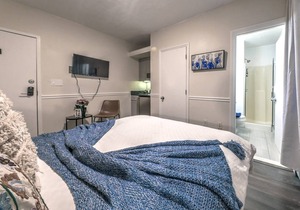 42 m² Studio flat ∙ 1 bedroom ∙ 2 guests
