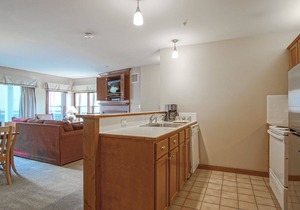 Allegheny Springs 201 : 2 Bedroom, 2 Full Bath: Slope Side; Gas Fireplace
