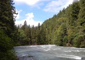 Apartment 85SW Deluxe Family Condo w/ Balcony in Mount Baker/Glacier - 4 persons, 2 bedrooms