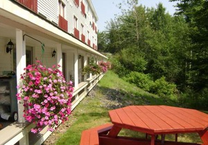 Best Western - Freeport Inn
