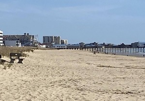 Come enjoy 7 miles of beaches in sunny OOB in this 2 bedroom condo!