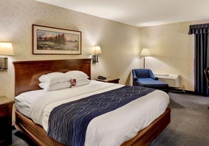Comfort Inn Bellingham
