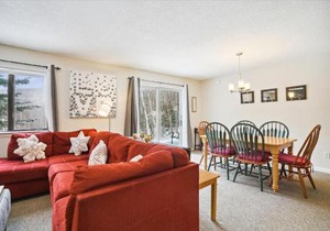 Cozy 2-Bedroom Northbrook #3 with Fireplace