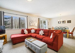 Cozy 2-Bedroom Northbrook #3 with Fireplace