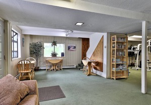 Efficiency with Sleeper Sofa only 221