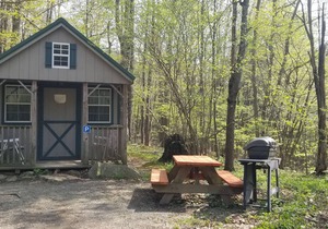Enjoy Nature At Its Finest-Rustic Furnished Cabin W/Electricity at Abrams Creek