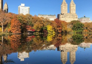 Graduate King - Accessible Room at Graduate Roosevelt Island