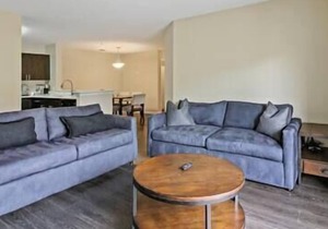 Location | Luxury | Prime | Suburban | Boutique