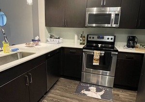Luxury apartment in Buckhead Atlanta with Skyline View