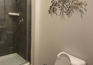 Luxury apartment in Buckhead Atlanta with Skyline View