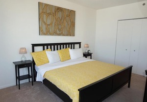 Luxury Apartment in Downtown Jersey