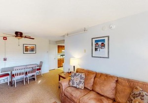 Mountainside Resort III