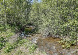 Neal Creek Retreat