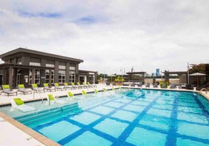 New Upscale Luxurious Apartment (BuckHead Area)