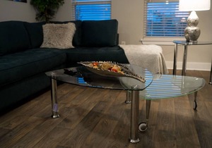 New Upscale Luxurious Apartment (BuckHead Area)