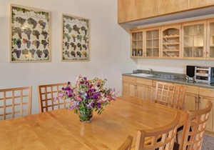 Northbrook Townhouse #2