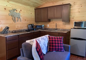 Pet Friendly Beautiful Tiny House Cabin in Inlet, NY Adirondack Mountains