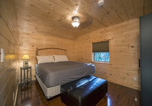 Pet Friendly Beautiful Tiny House Cabin in Inlet, NY (Adirondack Mountains)