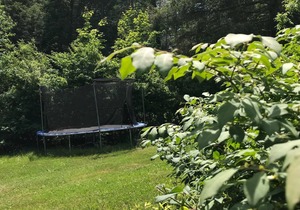 Seasonal Cottages Colony With Outdoor Swimming Pool